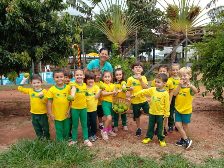 Colheita de laranja na Horta com as turminhas do Infantil e do Pré da Tarde e a Tia Sandra