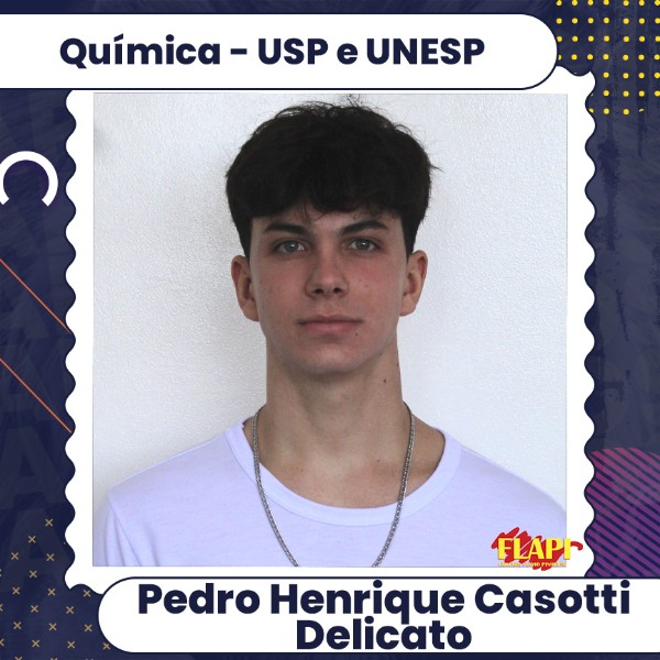 Pedro Henrique Casotti Delicato
